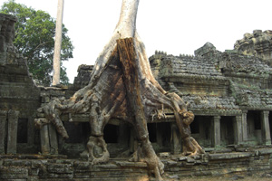cambodia