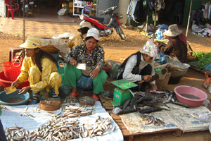 cambodia