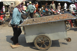 cambodia