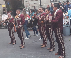 Mexico 2020 - image 23