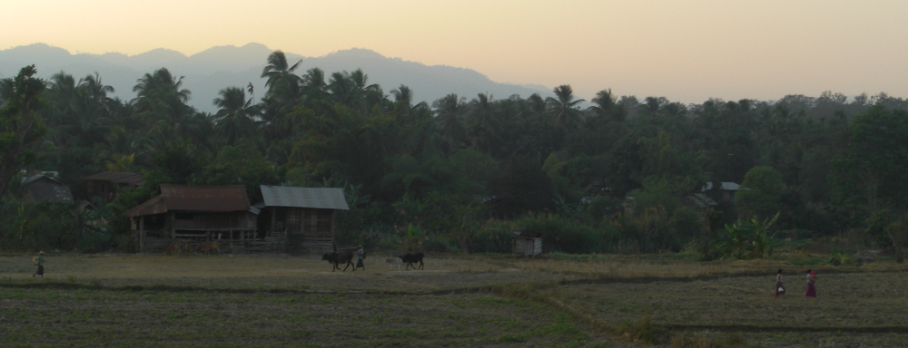 Myanmar 2016 - image 4