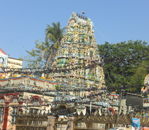 Myanmar 2016 - image 14