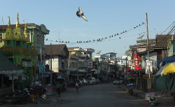 Myanmar 2016 - image 15