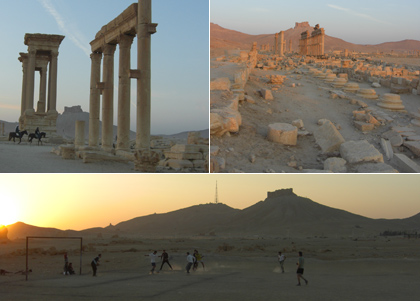 Palmyra and its surroundings